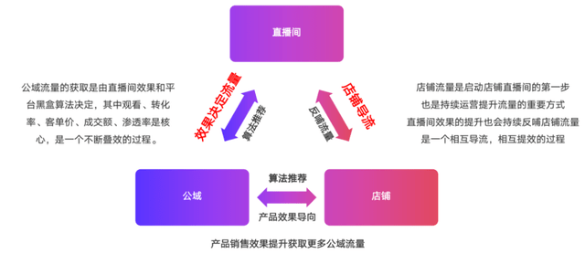 2024新澳门今晚开特马直播,持续解析方案_标配版65.974